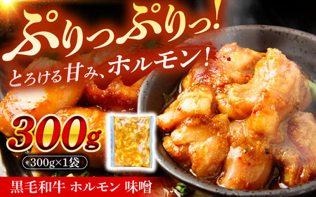 黒毛和牛ホルモン 味噌 300g （300g×1袋）[AZCW052] 和牛ホルモン