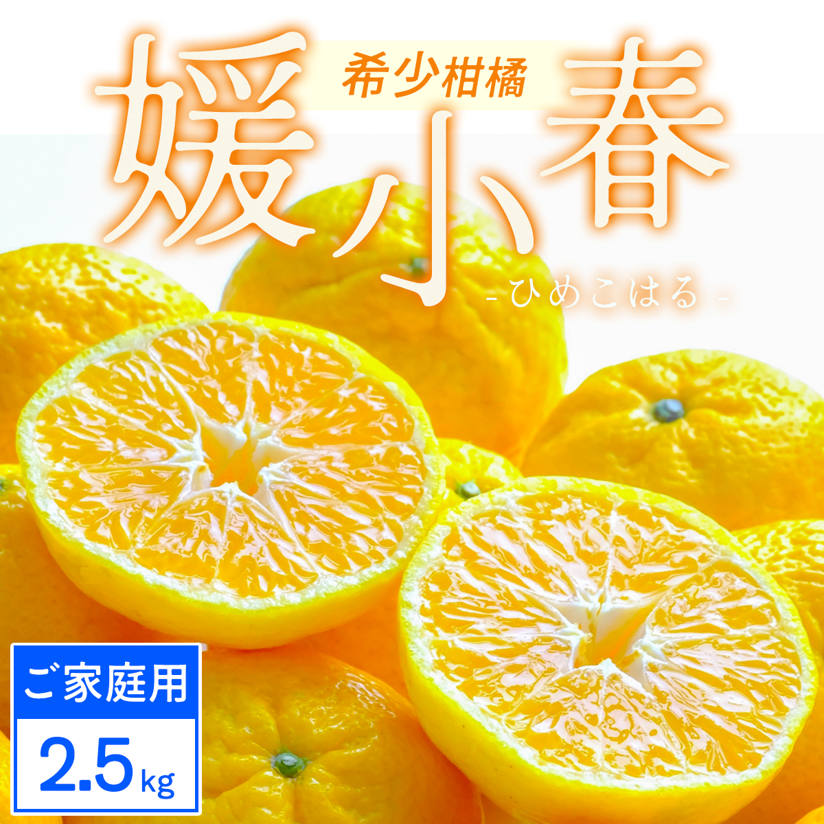 【先行受付】【ご家庭用】媛小春 2.5kg 愛媛県 八幡浜市 西宇和地区 希少な幻の柑橘【C25-323】【1714072】 YWTAP264