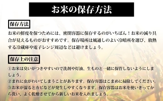 新米 ＼先行予約／ 令和8年産 ひとめぼれ 5kg 精米 米 白米 ごはん 宮城県 大崎市| tm-htm-10kg-r8