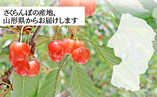 【令和9年度 先行予約】さくらんぼ 紅秀峰 300g 2L玉 秀品 1パック バラ詰め 山形県産 ギフト箱入り FSY-2791