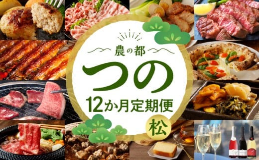 ≪12か月お楽しみ定期便≫都農町定期便(松) 肉 加工品 デザート 国産_T999-0102