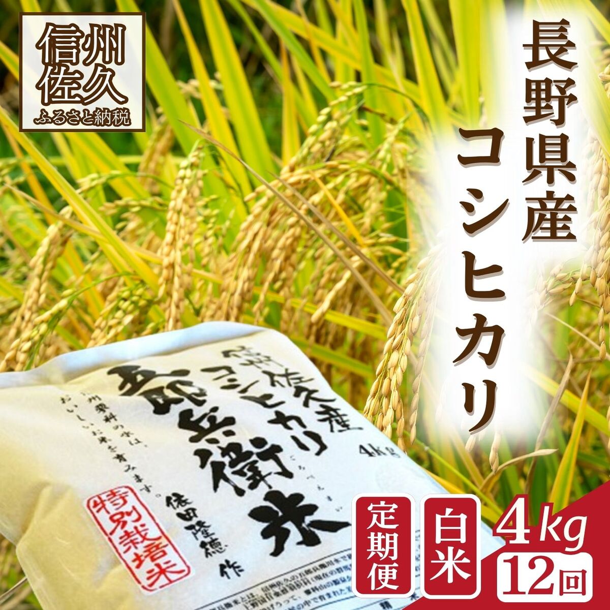 【ふるさと納税】【令和7年産・白米4kg×12カ月定期便】 特別栽培米 五郎兵衛米 〈2025年9月中旬頃～順次発送〉先行予約 新米 信州 こしひかり【 米 コメ 白米 精米 お米 こめ おこめ 備蓄品 コシヒカリ 長野県 佐久市 】