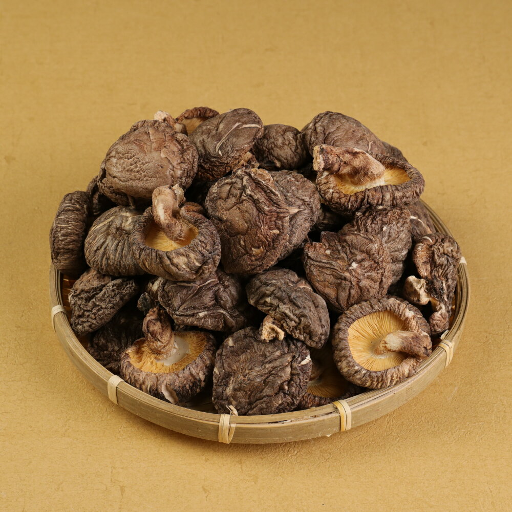 【ふるさと納税】 ＜選べる容量＞ 熊本県 人吉 球磨産 乾椎茸どんこ箱詰 170g×1箱 ／ 170g×2箱 （ 計340g ） 椎茸 しいたけ 干し椎茸 干ししいたけ 乾椎茸 どんこ 原木栽培 送料無料 楽天スーパーSALE 9月開催