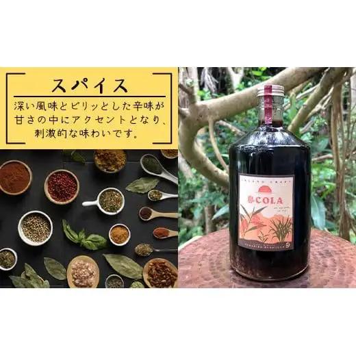 島コーラ BIGサイズ　CS-3