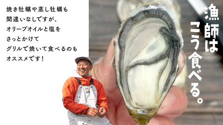 [12〜2月発送]広島の離島から届く牡蠣 約3kg (加熱用) 26〜33個程度 先行予約 ナイフ・軍手付き 牡蠣 殻付き かき 牡蠣 殻付 広島産 カキ 牡蠣 バーベキューBBQ 瀬戸内 大崎上島