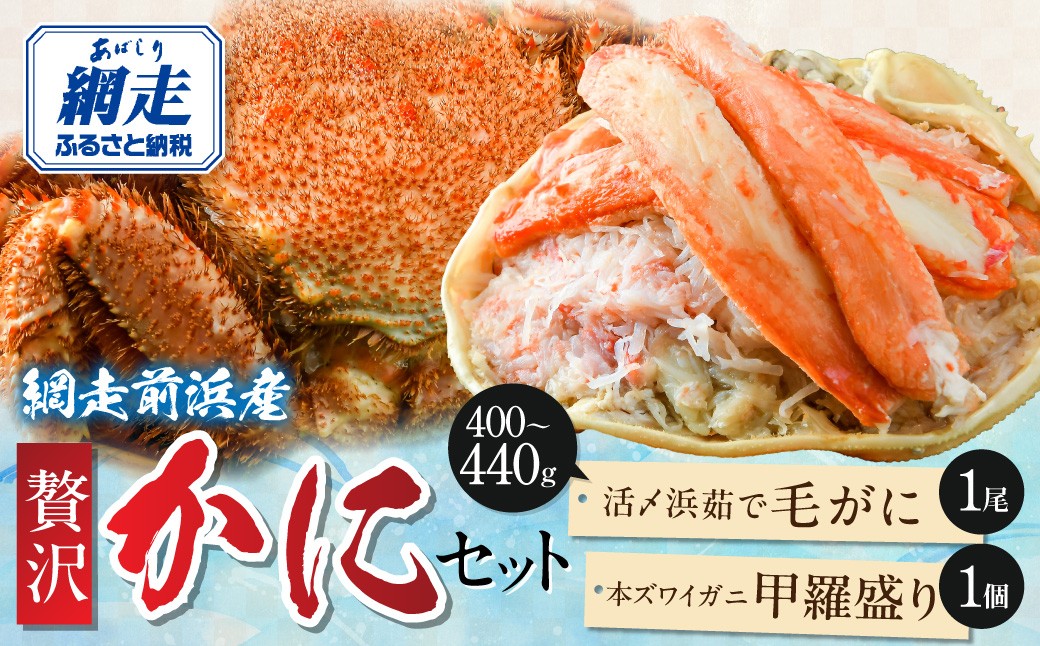 【数量限定】＜網走前浜産＞贅沢かにセット 【選べる内容量】 活〆浜茹で毛がに 1尾～＋本ズワイガニ甲羅盛り1個～ ABAI052-v