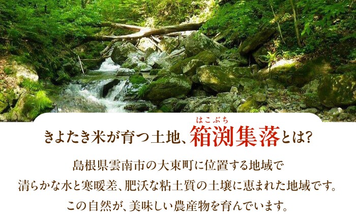 島根県産きぬむすめは5年連続特A評価！米 新米 白米 きぬむすめ 小分け 便利 ごはん お弁当 お取り寄せ 家族 国産 おいしい