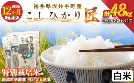 【12ヶ月連続お届け】令和7年産 特別栽培米 コシヒカリ匠 4kg（2kg×2袋）×12回 計48kg 節減対象農薬当地比5割減【白米】お米 コシヒカリ [O-2902_01]
