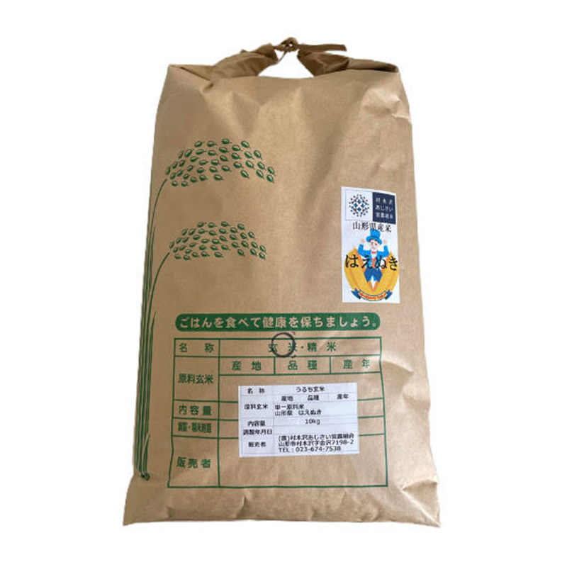 【令和7年産米 新米】山形市 村木沢産 はえぬき(玄米) 10kg 