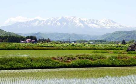 愛別町への寄附 5,000円 （返礼品はありません）