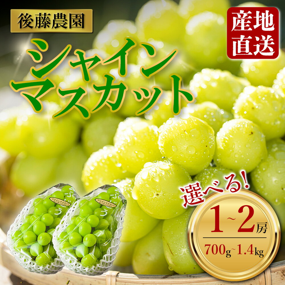 【ふるさと納税】「後藤農園」 シャインマスカット 約700g ～約1.4kg ぶどう 葡萄 ブドウ 1~2房 希少 新鮮 期間限定 皮ごとブドウ お取り寄せ おやつ 美味しい ジューシー みずみずしい 甘い サクサク 高級 豪華 熊本県阿蘇市