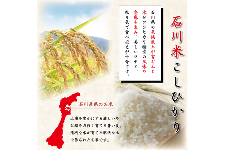 米 定期便 石川米 こしひかり【穂立】5kg×3回 総計15kg [中橋商事 石川県 宝達志水町 38600816] コシヒカリ お米 コメ 3ヶ月 白米 精米 おこめ こめ 能登 5kg 5キロ