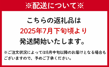 【2024年発送】徳之島 天城町産 完全無加温 完熟 マンゴー 家庭用 1kg