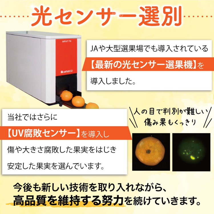 ＼光センサー選別／こだわりの完熟有田みかん 約10kg 【ご家庭用】 ◇ふるさと納税 みかん 有機質肥料100%
※2024年11月中旬～2025年1月上旬頃に順次発送予定
※北海道・沖縄・離島への配