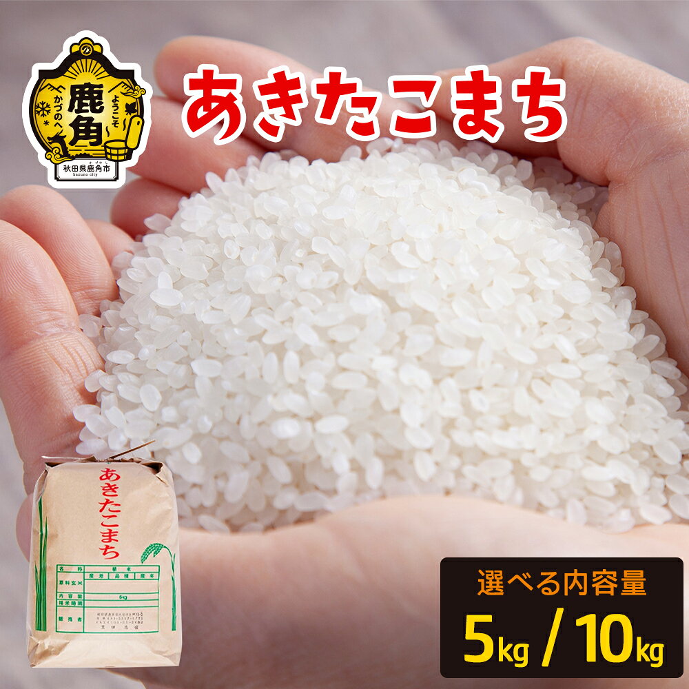 【ふるさと納税】令和7年産 あきたこまち 5kg / 10kg 選べる 内容量 単品 白米 精米 米 お米 こめ コメ 県産米 国産米 ギフト お中元 お歳暮 ふるさと 返礼品 秋田 あきた 鹿角市 鹿角 送料無料 【豊田農園】