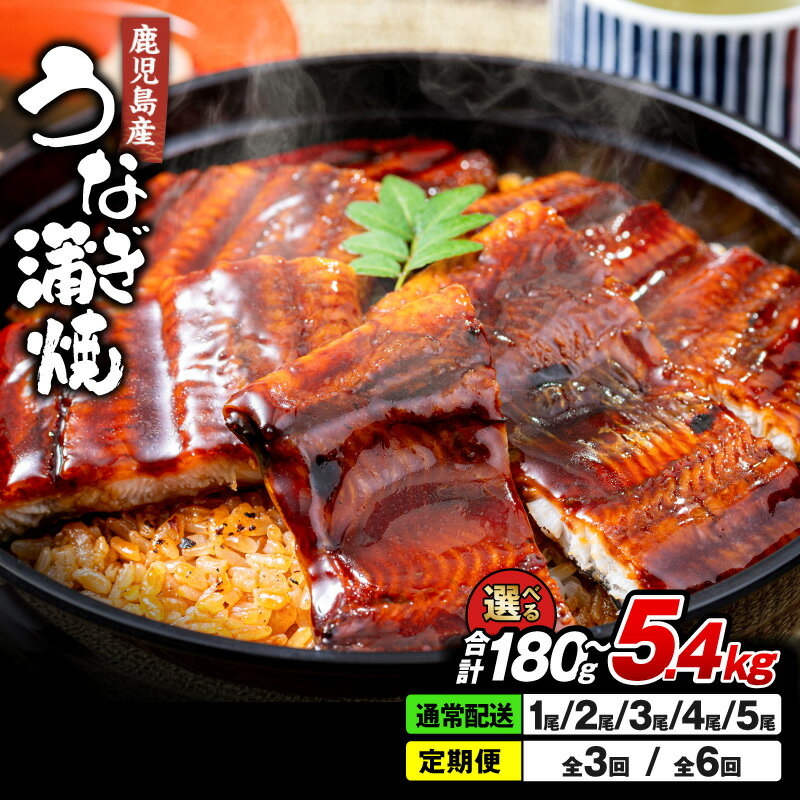 【土用の丑の日対応7/12入金まで 限定数量に達し次第、受付終了します】鹿児島産うなぎ 2尾［計360g］清らかな地下水育ち！ふっくら、やわらか！ 鹿児島産 鰻 ウナギ 蒲焼き 養殖 たれ付 真空パック 湯煎 レンジ 国産 鹿児島県 うな丼 ひつまぶし 【財宝】