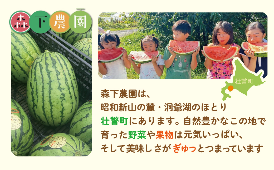 ＜2025年8月上旬よりお届け＞北海道壮瞥産　新山すいか 小玉すいか（マダーボール）Lサイズ2玉 スイカ SBTN002