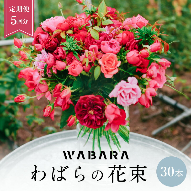 【ふるさと納税】わばら花束 定期便 30本 5回分 Rose Farm KEIJI WABARA 國枝啓司