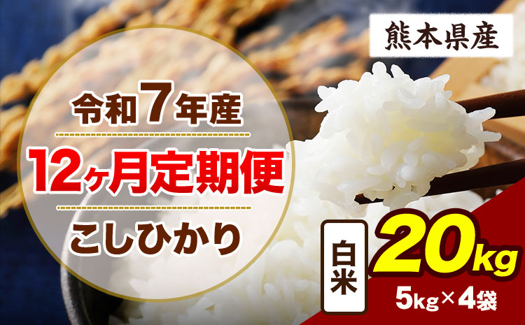 【12ヶ月定期便】令和7年産 定期便 こしひかり  20kg 白米 阿蘇 うぶやま 米 定期便 熊本県産 ふるさと納税 精米 ひの 米 こめ ふるさとのうぜい コシヒカリ コメ お米 おこめ《お申込み翌月から出荷》---ubuyama_lcl_990_mo12---