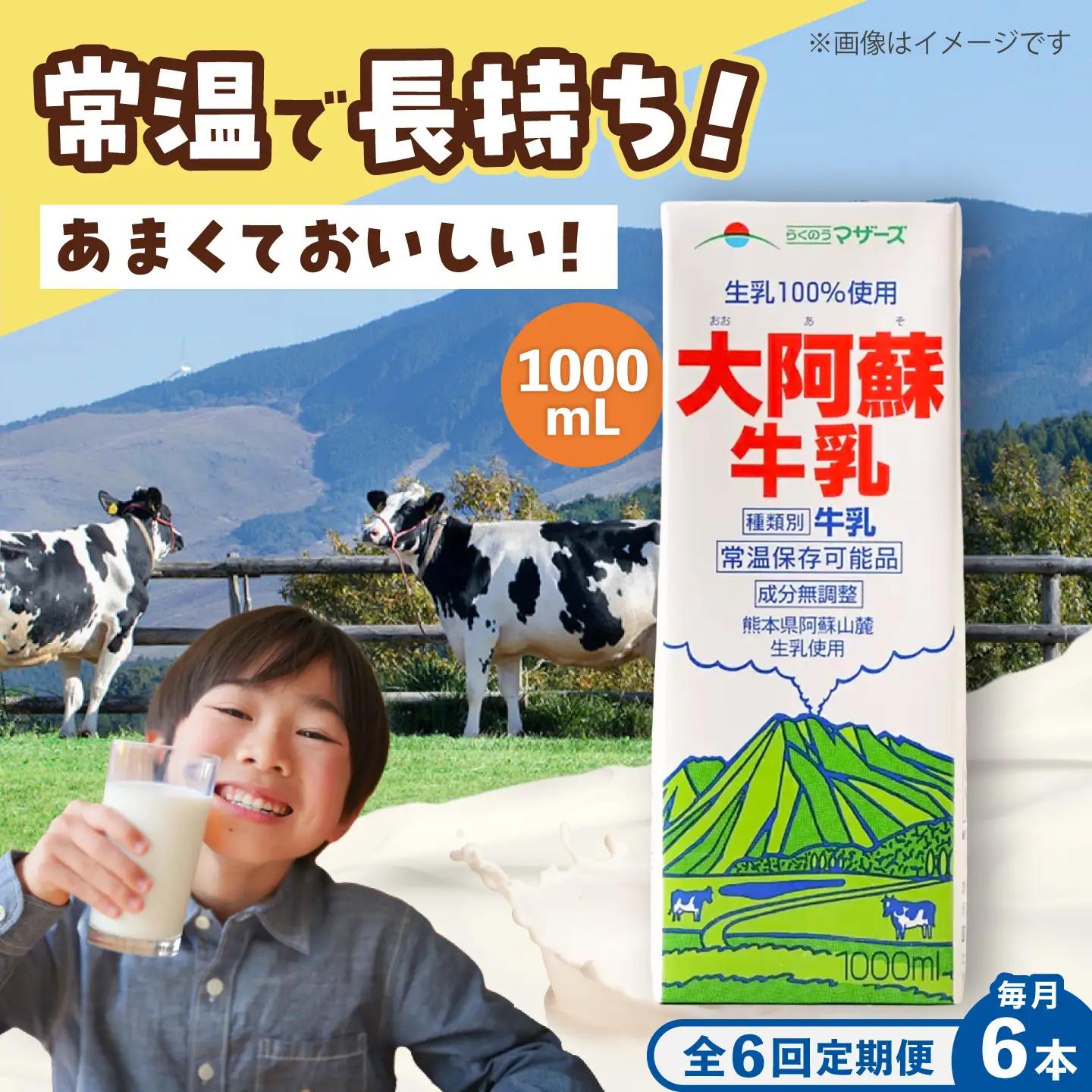 【全6回定期便】大阿蘇 牛乳 1000ml 紙パック 6本入 牛乳 BHBY025