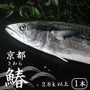 【ふるさと納税】 【11月～3月の発送】 漁師直送！！ 一本釣り 京都鰆 2.8kg 以上 鮮魚 1尾 天然 新鮮 鮮度抜群 冷蔵 ナマモノ 寒さわら 活締め 【送料無料】