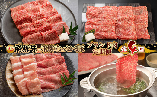【定期便 4回】 飛騨牛 ＆ なっとく豚 定期便 4回 牛肉 / 豚肉 食べ比べ (焼肉 / すき焼き / しゃぶしゃぶ / 豚しゃぶ) 下呂温泉 お楽しみ おすすめ ブランド牛 赤身 霜降りミックス 牛肉セット 国産 焼き肉 ギフト 定期便 岐阜県 下呂市