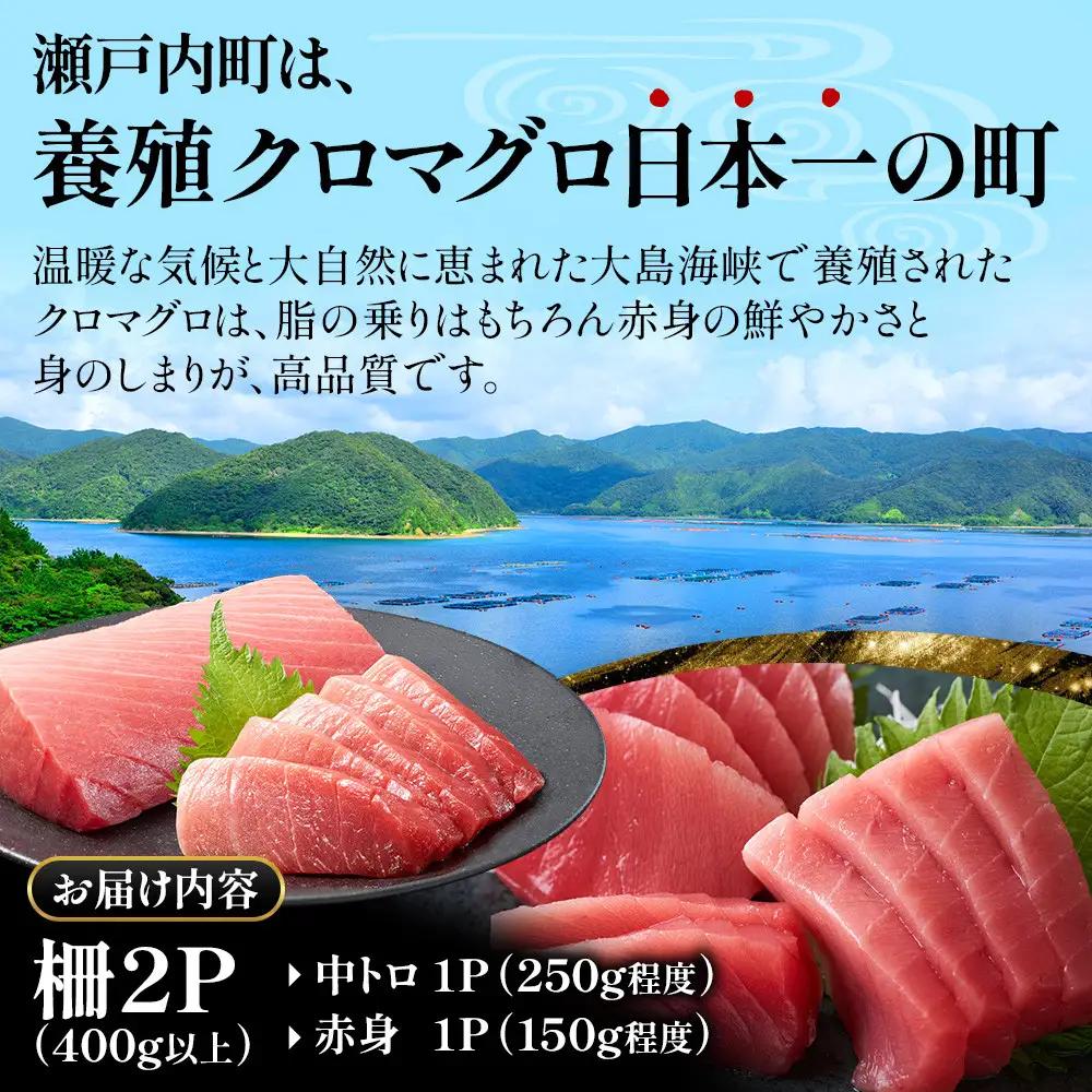 クロマグロ 3回定期便 2柵セット 黒マグロ 奄美大島産養殖