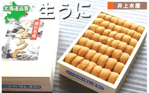 B-71022 ムラサキウニ並べ詰め150g×1折[7月上旬以降発送]