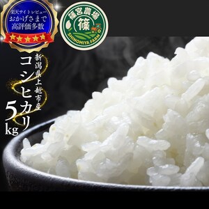 令和8年産【11月中旬配送】 新米 先行予約 新潟県産 コシヒカリ 5kg 最高品質のお米を追求し続ける 篠宮農場 上越市 精米