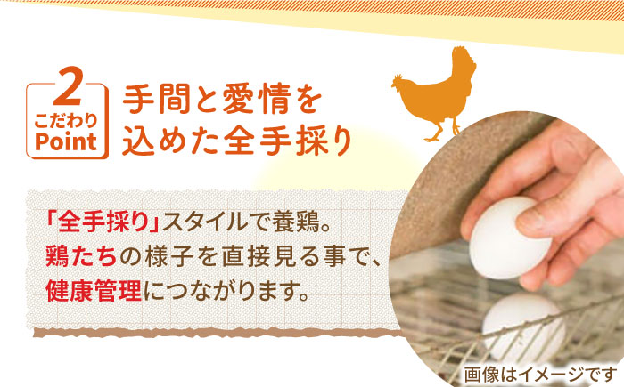 【3回定期便】いとう君ちのあっぱれ卵 24個（6個×4パック）ギフトBOX /いとう養鶏場 [UAQ009]