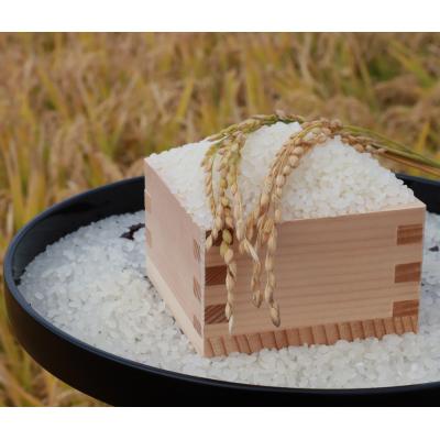 ふるさと納税 つがる市 令和6年産 青森県 つがる市産米 青天の霹靂 5kg (精米) [0724] |  | 01
