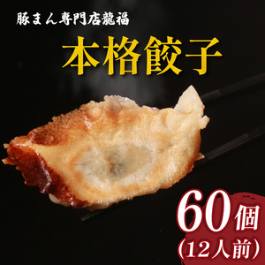 餃子 60個 冷凍 中華料理 餃子