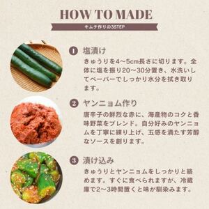 オイキムチ(350g)きゅうりキムチ　専用パック　慶尚北道英陽産の唐辛子使用!自家製ヤンニョム　漬物【配送不可地域：離島】【1718990】