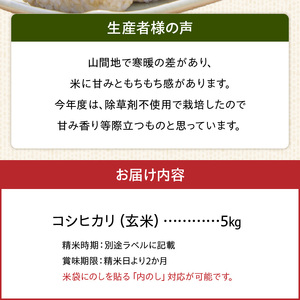 S150-005_天草方原産　清流米　コシヒカリ　玄米5キロ