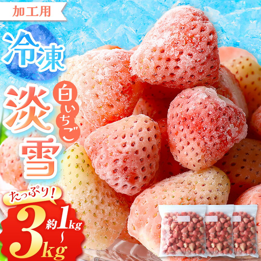 【ふるさと納税】冷凍 白 いちご 淡雪 選べる 約 1kg 約 2kg 約 3kg | 玉名 熊本 果物 フルーツ 苺 イチゴ スムージー ジャム 加工用 夏 アイス