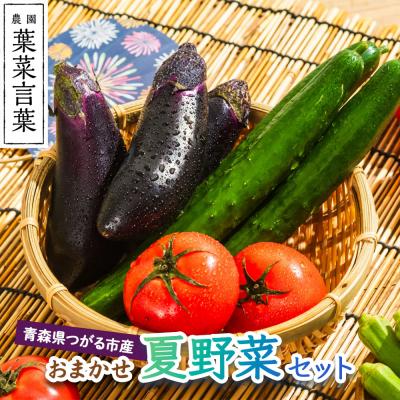 ふるさと納税 つがる市 葉菜言葉のおまかせ夏野菜セット [0636]