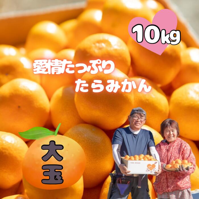 【ふるさと納税】N218x1 愛情たっぷりたらみかん（大玉）10kg【2026年11月上旬-12月下旬発送予定】