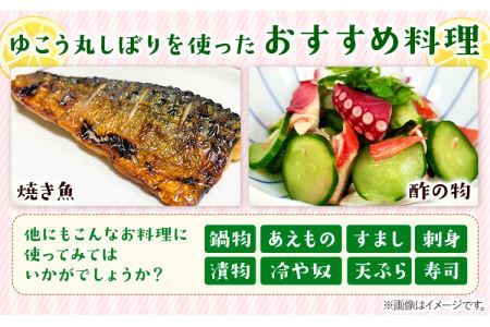 ゆこう丸しぼり 150ml×3本 株式会社阪東食品 《30日以内に出荷予定(土日祝除く)》調味料 柑橘 ゆこう 柚香 瓶 徳島県 上勝町 送料無料