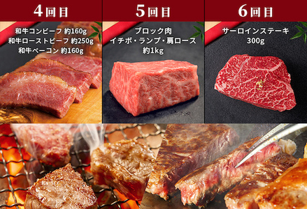 Y012 【和牛セレブ】鳥取和牛 定期便 シルバークラス