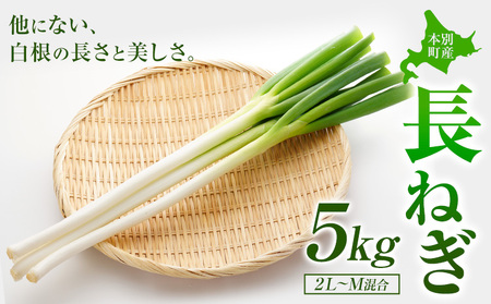 本別産 長ねぎ 5kg ２L～M 混合 石上農場《11月上旬から12月下旬　順次出荷》北海道 本別町 送料無料 北海道 本別町 十勝 本別町産 ねぎ 長ネギ 野菜 5キロ