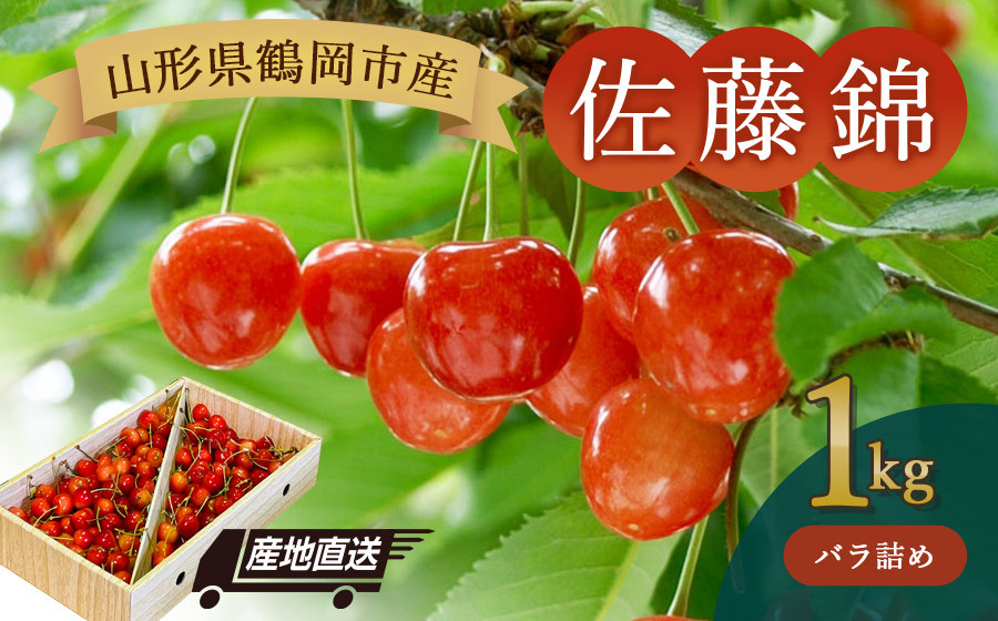 
            【令和8年産先行予約】山形県鶴岡産 さくらんぼ「佐藤錦」バラ詰め1kg　JA庄内たがわ　K-867
          