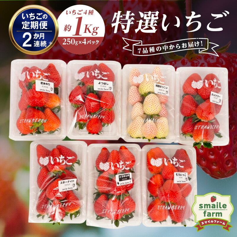 【ふるさと納税】【2027年先行予約】＜いちごの定期便＞スマイルファーム 特選いちご 約1kg 2か月連続 FAF-0050