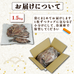 訳あり 旬 干物 詰め合わせ 1.5kg 干物