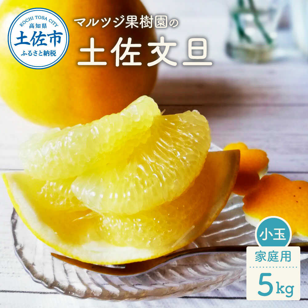 【ふるさと納税】【先行予約】マルツジ果樹園の土佐文旦 家庭用(小玉) 約5kg 5キロ M~Lサイズ 12~17個入り 土佐文旦 高知 柑橘 フルーツ ぶんたん 果物 甘い 旬 産直 お取り寄せ 高知県土佐市/マルツジ果樹園[BQAN009]