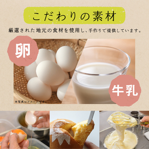 富士山の形のシフォンケーキ　ふじフォン（小）2個セット　プレーン×2個　4～5人分×2個 シフォンケーキ ホール 富士山型 保存料 不使用 シフォン富士 山梨 富士吉田