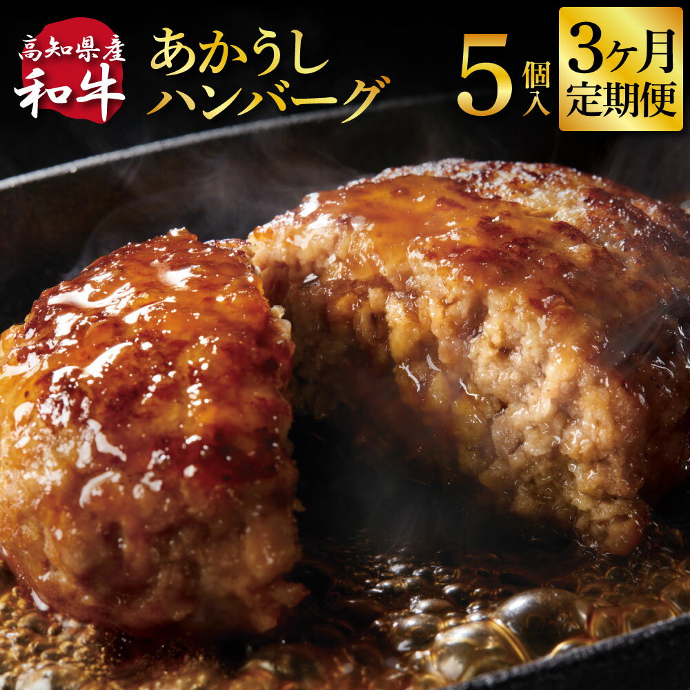 【ふるさと納税】 創業50年老舗レストランの幻の和牛あかうしハンバーグ130g×5ケ 3ヶ月定期便 土佐あかうし 美鮮豚 牛肉 高級 ハンバーグ 冷凍 おいしい 肉汁ハンバーグ 焼くだけ 小分け 個包装 高級 国産 定期便 定期コース 還暦祝い 男性 退職 プレゼント 父 ギフト