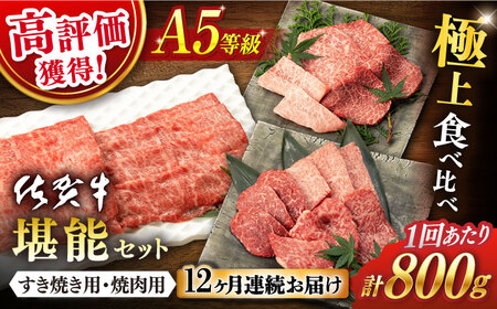 【12回定期便】佐賀牛 A5 堪能セット 計9.6kg【桑原畜産】 [NAB097] 牛肉 牛肉 牛肉 牛肉 牛肉 牛肉 牛肉 牛肉