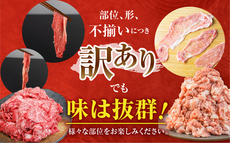 定期便 全6回 訳あり 飛騨牛 結旨豚 約2.3kg 定期便 [S829]