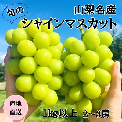 ◆2026年発送◆産地直送　山梨名産!旬のシャインマスカット　2～3房(約1kg以上)【配送不可地域：離島】