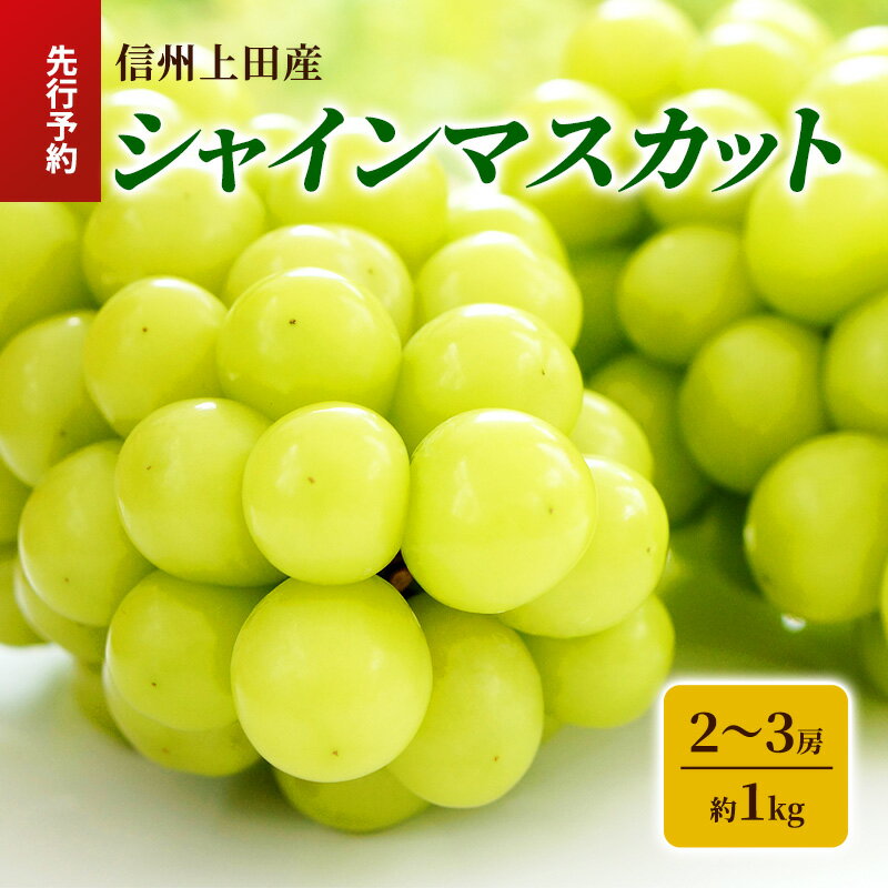 【ふるさと納税】シャインマスカット 信州上田産 約1kg 2～3房 ぶどう ブドウ 葡萄 マスカット 1kg 果物 くだもの フルーツ デザート 旬の果物 旬のフルーツ 長野県 長野 上田市　お届け：2025年9月下旬～10月上旬